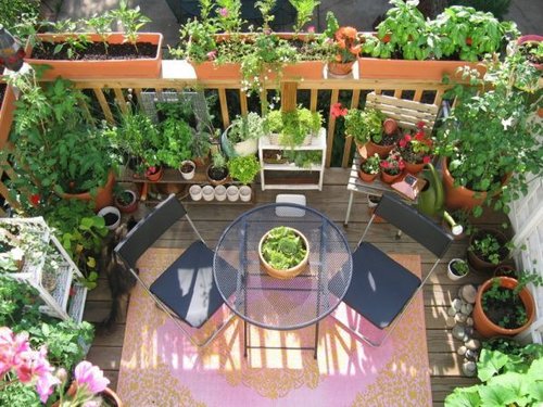 Летний сад на балконе фото