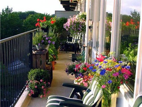 Оформление балкона или лоджии цветами